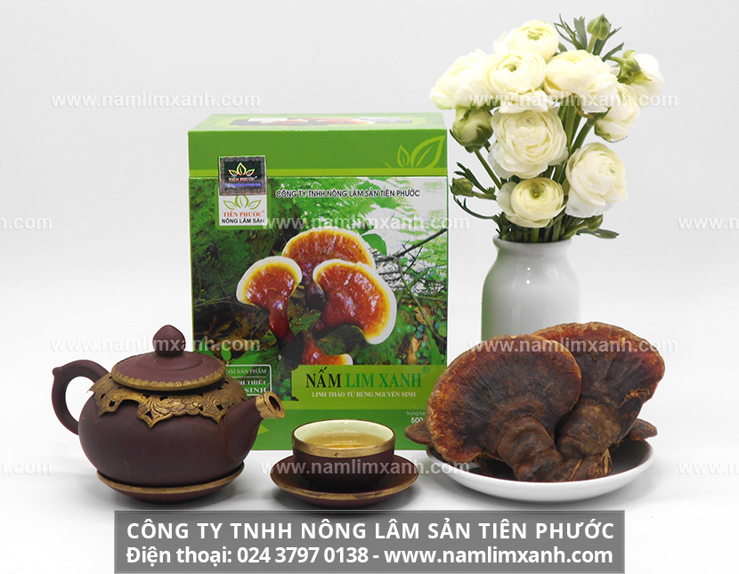 Nấm lim xanh có tác dụng chữa bệnh gì