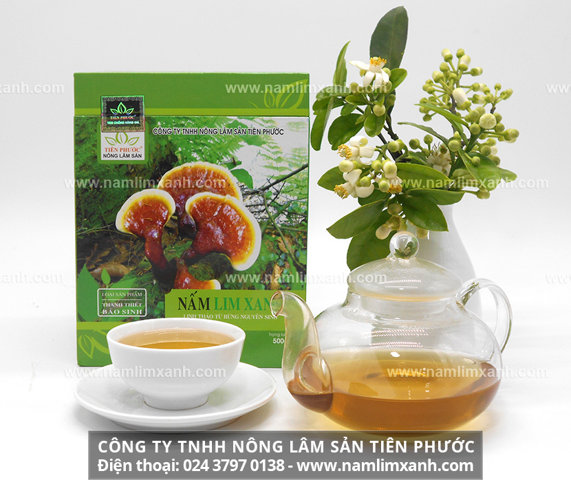 Nấm lim xanh có tác dụng giảm cân dùng nấm lim có công dụng giảm cân