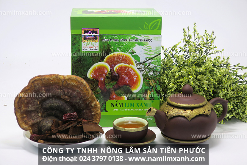 Nấm lim xanh ngâm rượu như thế nào và sơ chế nấm lim xanh cần chuẩn bị những gì