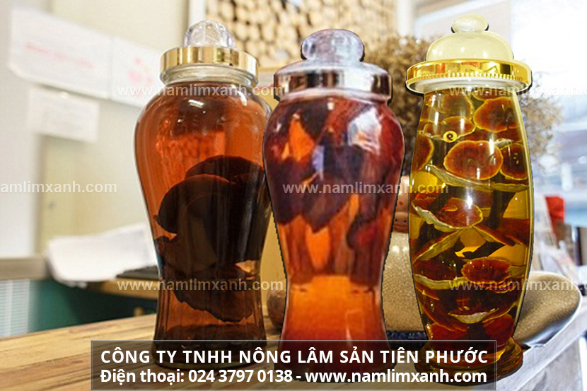 Ngâm rượu nấm lim xanh đúng cách và ngâm rượu nấm lim rừng đúng chuẩn