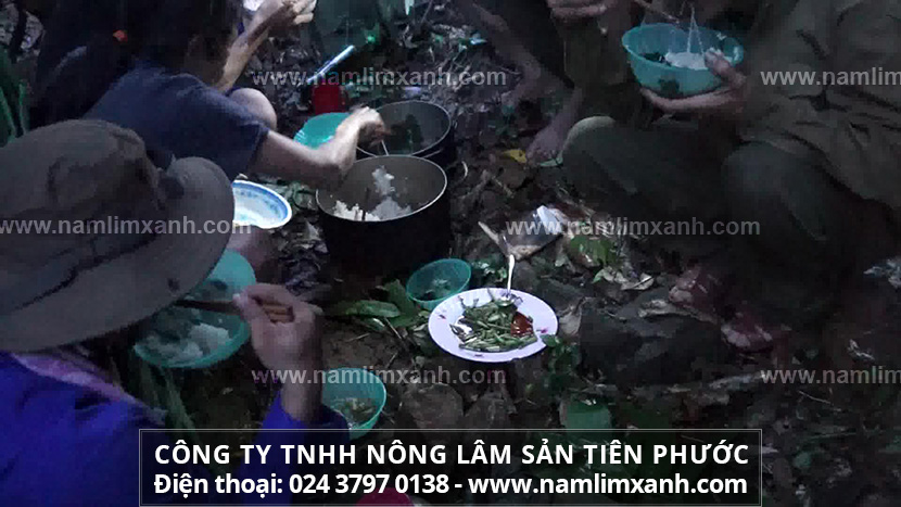 Những lưu ý khi dùng nấm lim xanh cần biết