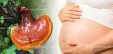Phụ nữ có thai uống nấm lim xanh được không và có giảm cân không