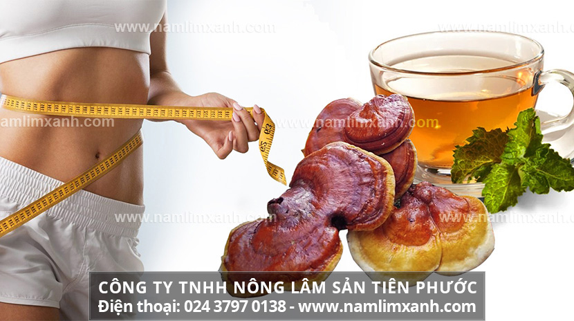 Phụ nữ sau sinh giảm cân bằng nấm lim xanh có được hiệu quả không