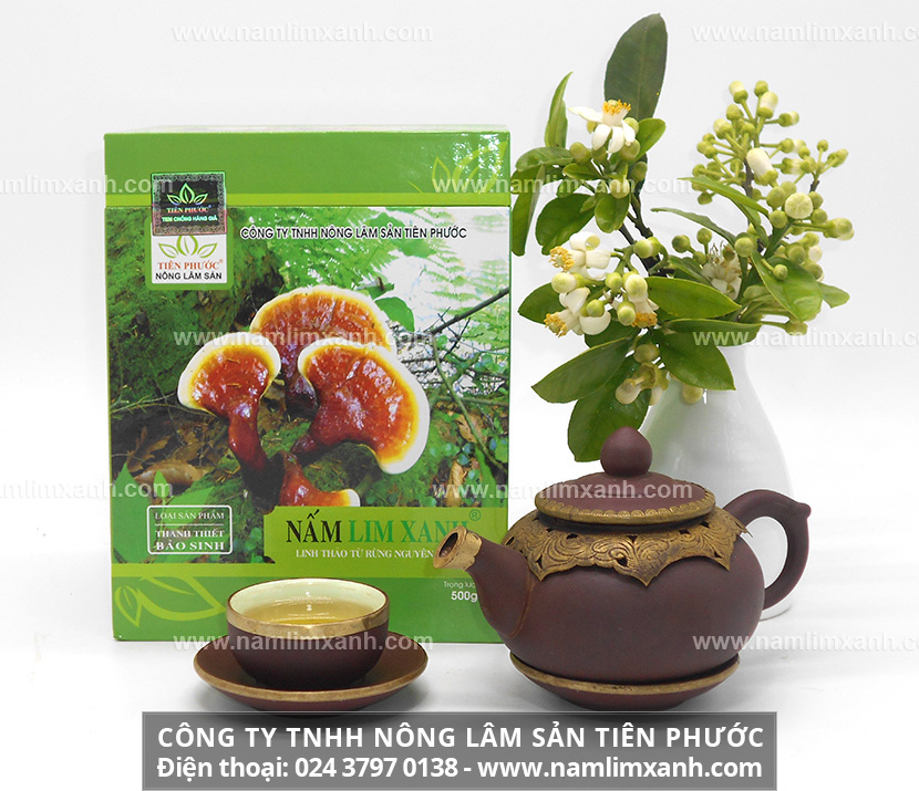 Phương pháp chế biến nấm lim xanh rất hiệu quả với sử dụng cây nấm lim xanh chống lại bệnh tật và phục hồi sức khỏe