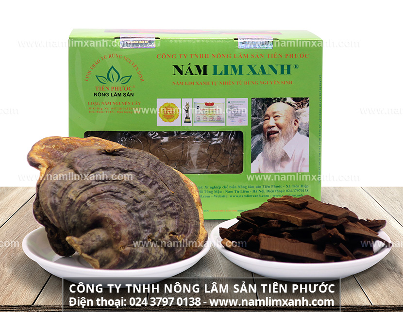 Rượu nấm lim xanh có tác dụng gì và công dụng nấm lim rừng trị mất ngủ