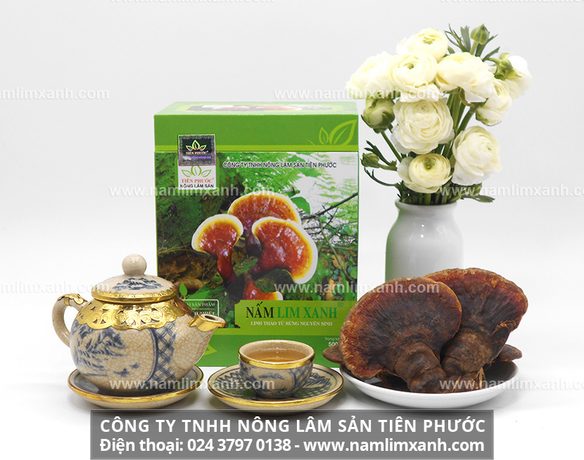 Sử dụng nấm lim xanh như thế nào và cách bảo quản nấm lim xanh rừng