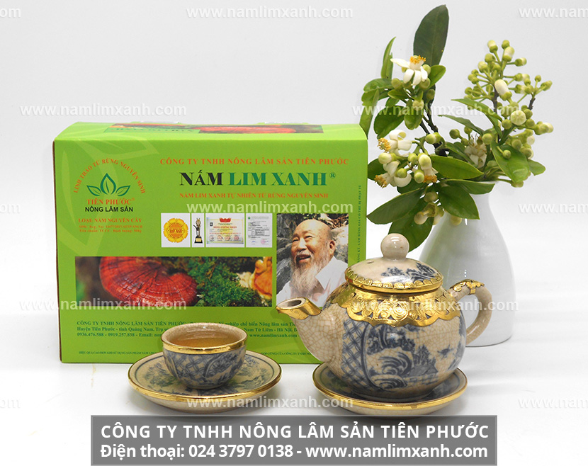 Sử dụng nấm lim xanh pha trà và cách hãm trà nấm lim rừng tự nhiên