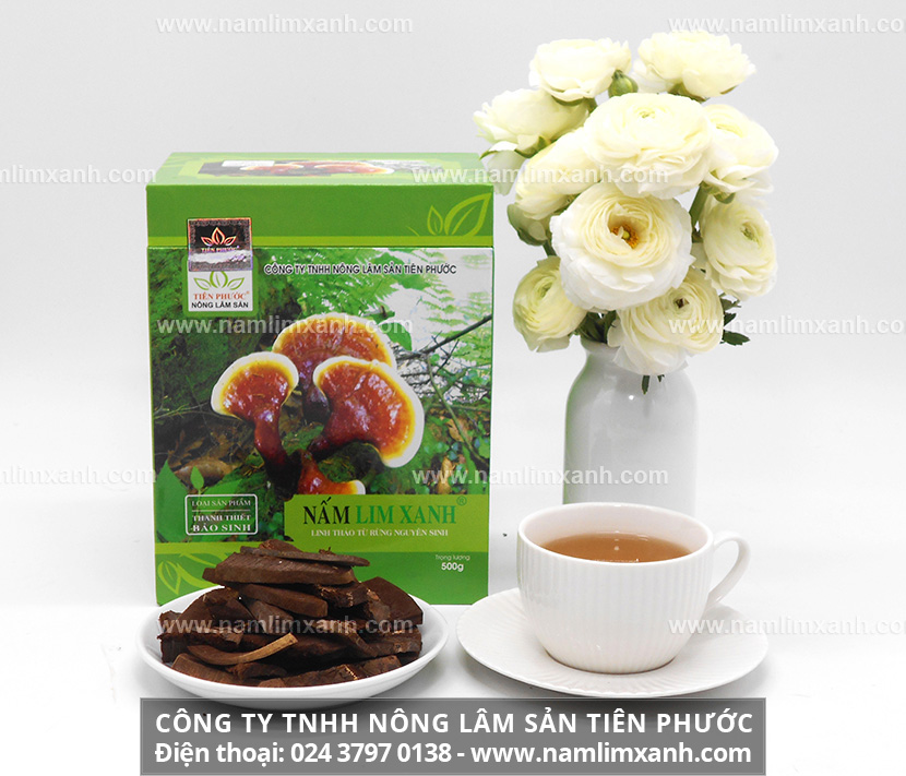 Tác dụng của nấm lim xanh trong điều trị bệnh