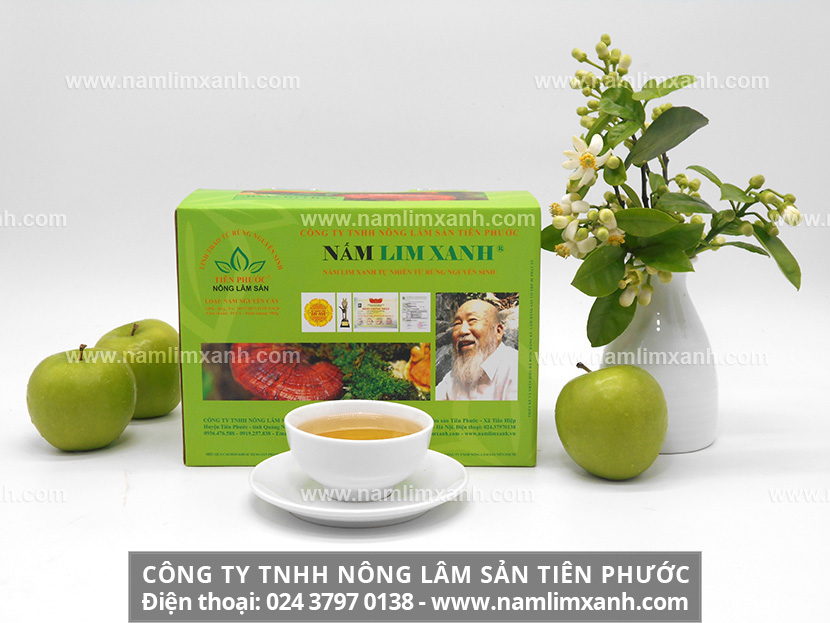 Tác dụng của nấm lim xanh và công dụng của nấm lim xanh rừng tự nhiên