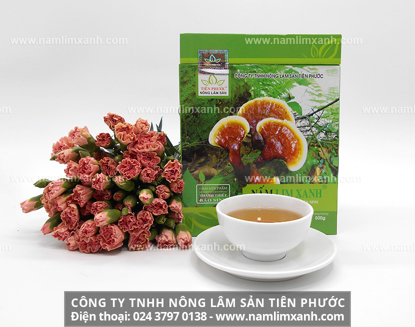 Tác dụng phụ của rượu nấm lim xanh và tác hại của rượu nấm lim rừng