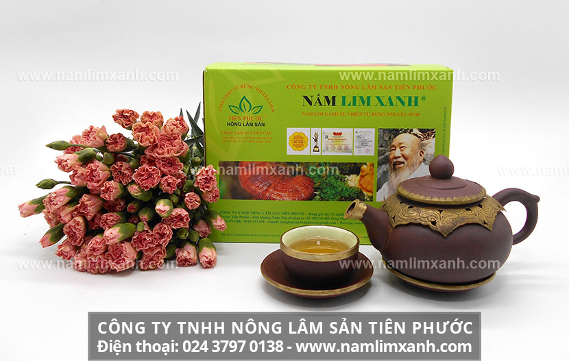 Uống nấm lim xanh có tốt không và công dụng của nước nấm lim rừng tốt