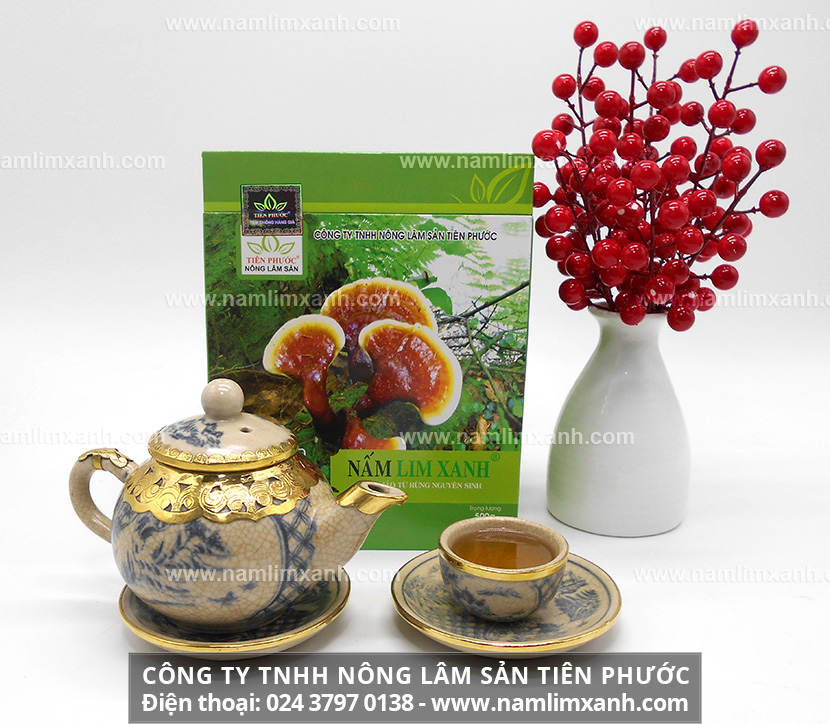 Uống nấm lim xanh có tốt không và lưu ý khi dùng nấm lim xanh