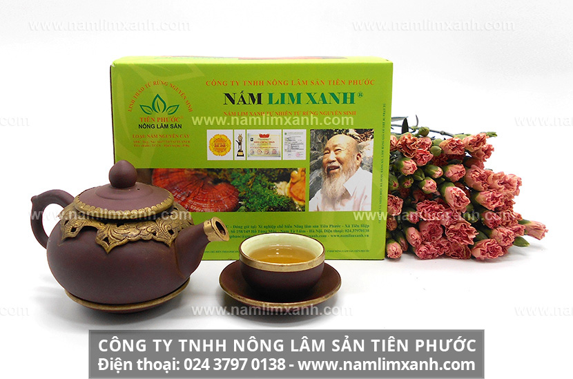 Địa chỉ bán nấm lim xanh trị bệnh gan tại Hà Nội