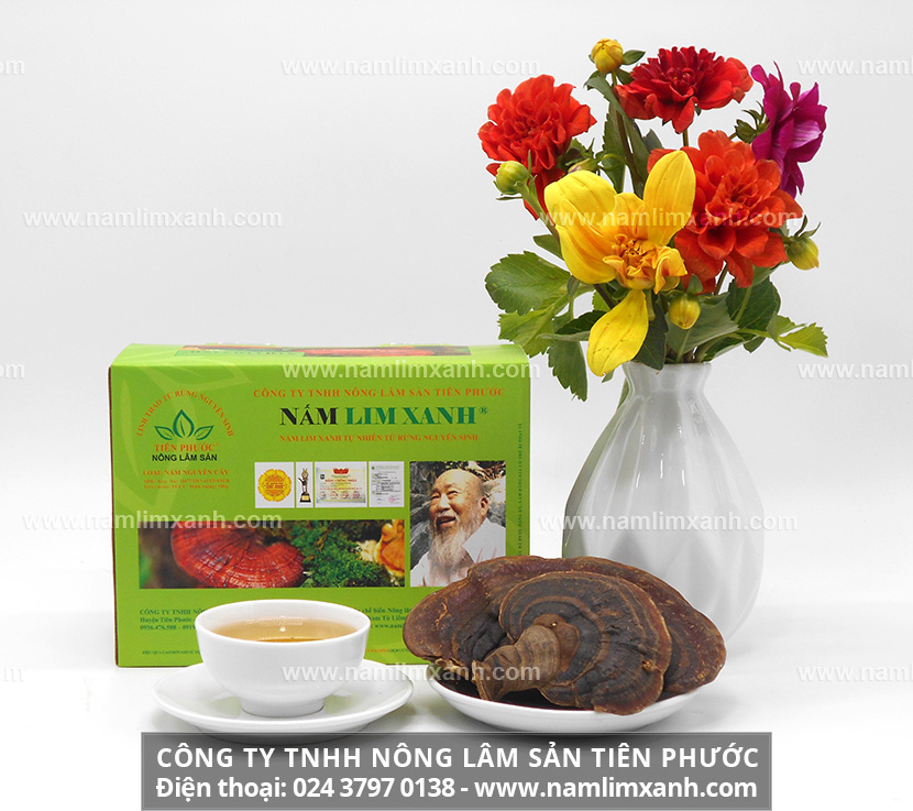 Nấm lim xanh Quảng Nam trị bệnh dạ dày