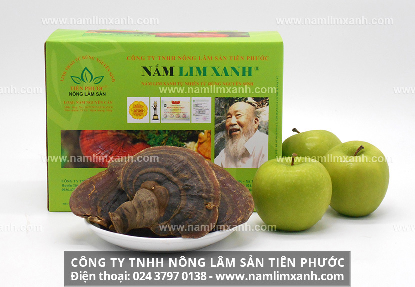 Ai nên uống nấm lim xanh ngâm rượu và công dụng của nấm lim xanh với phái mạnh