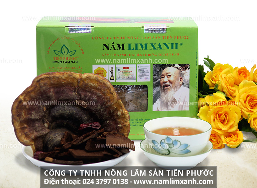 Bảng giá các loại nấm lim xanh và Địa chỉ nơi mua bán nấm lim xanh rừng thật