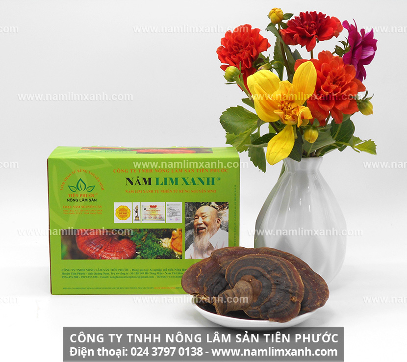 Bảng giá nấm lim xanh rừng chuẩn