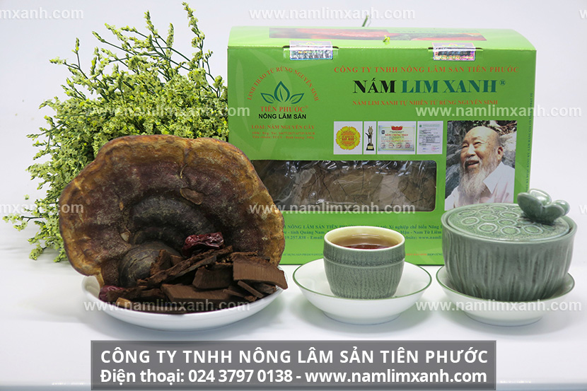 Các loại nấm lim xanh khác trên thị trường và Địa chỉ bán nấm lim xanh uy tín