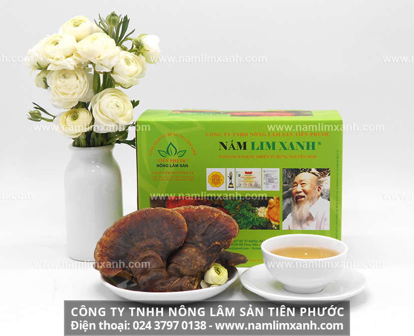 Cách bảo quản nấm lim xanh nấu nước và ngâm rượu với dùng nấm lim xanh