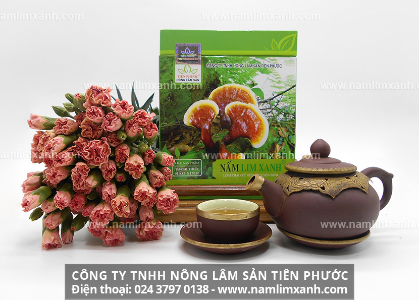 Cách dùng nấm lim xanh Tiên Phước lưu ý dùng nấm lim xanh Tiên Phước