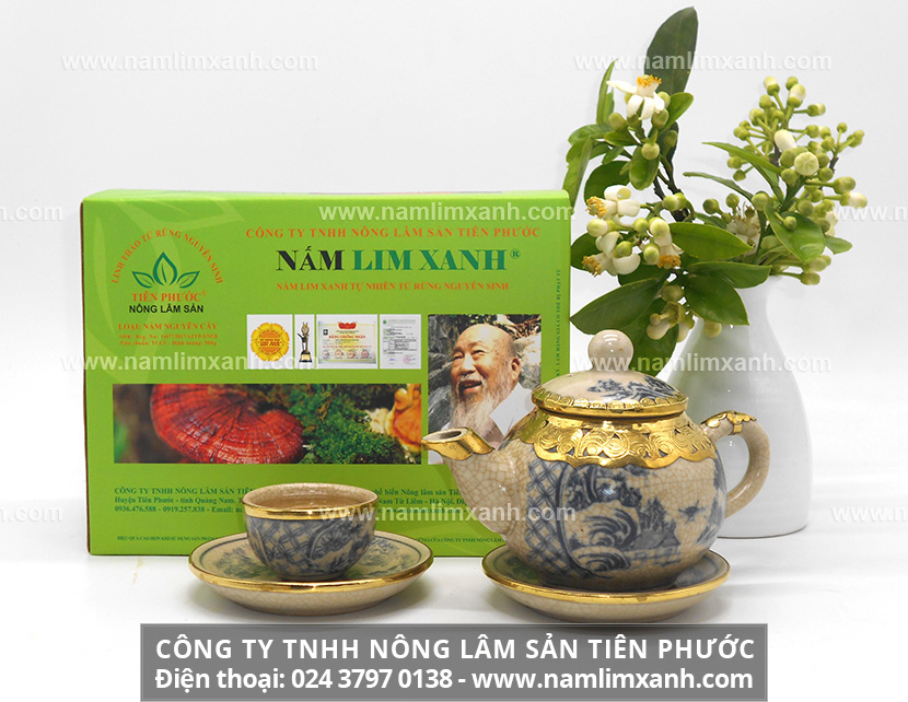 Cách dùng nấm lim xanh Tiên Phước và sơ chế nấm lim xanh Tiên Phước