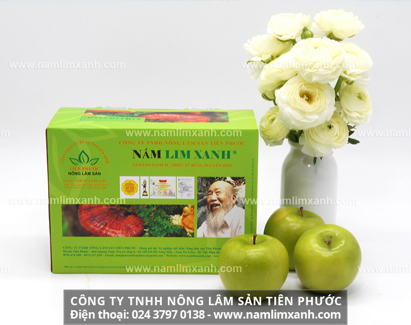 Cách dùng nấm lim xanh chữa bệnh