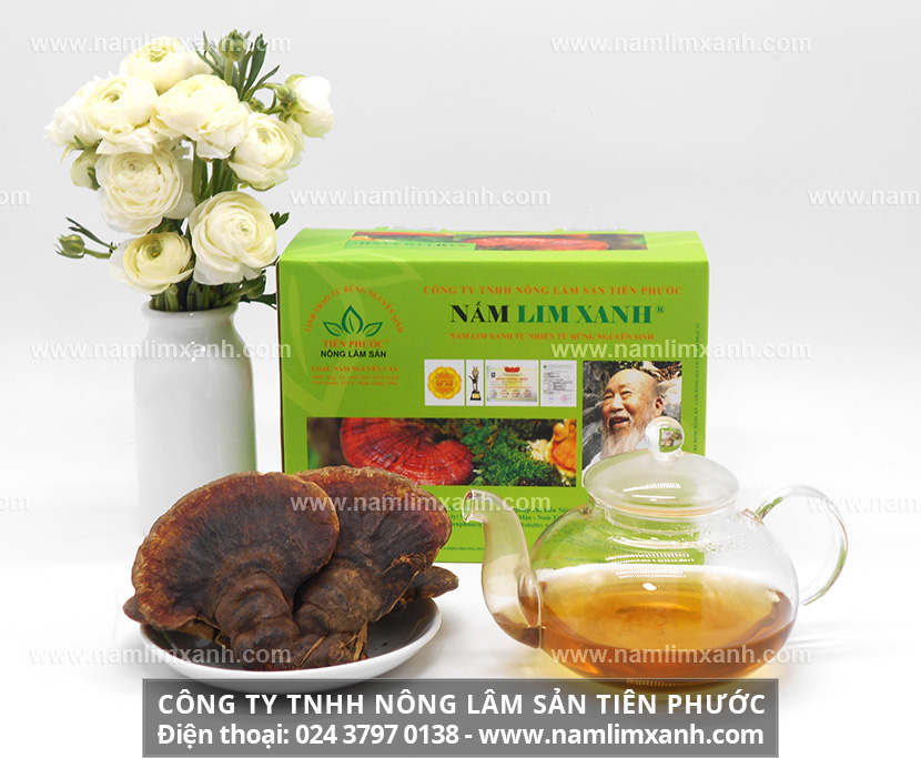 Cách dùng nấm lim xanh chữa bệnh viêm gan cách sắc nước nấm lim xanh