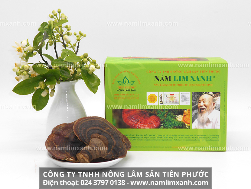 Cách dùng nấm lim xanh chữa ung thư gan