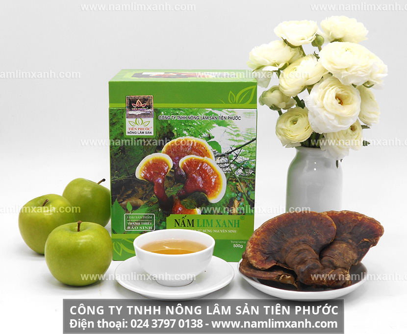 Cách dùng nấm lim xanh chuẩn tránh tác dụng phụ