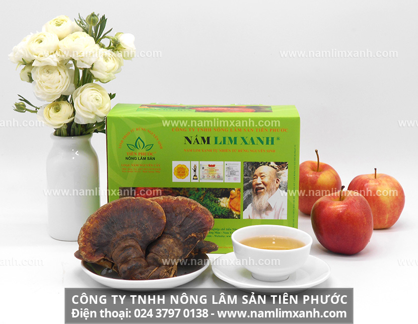 Cách dùng nấm lim xanh điều trị bệnh và Liều lượng dùng nấm lim xanh cho mỗi loại bệnh khác nhau