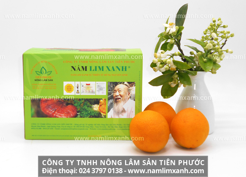 Cách dùng nấm lim xanh hiệu quả và cách uống nấm lim xanh đúng nhất