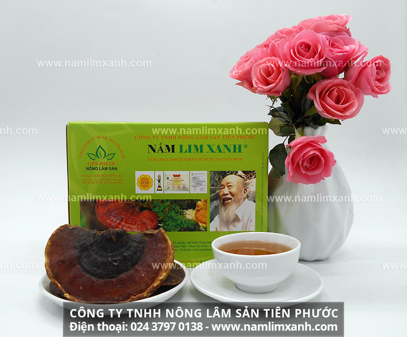 Cách dùng nấm lim xanh rừng điều trị ung thư