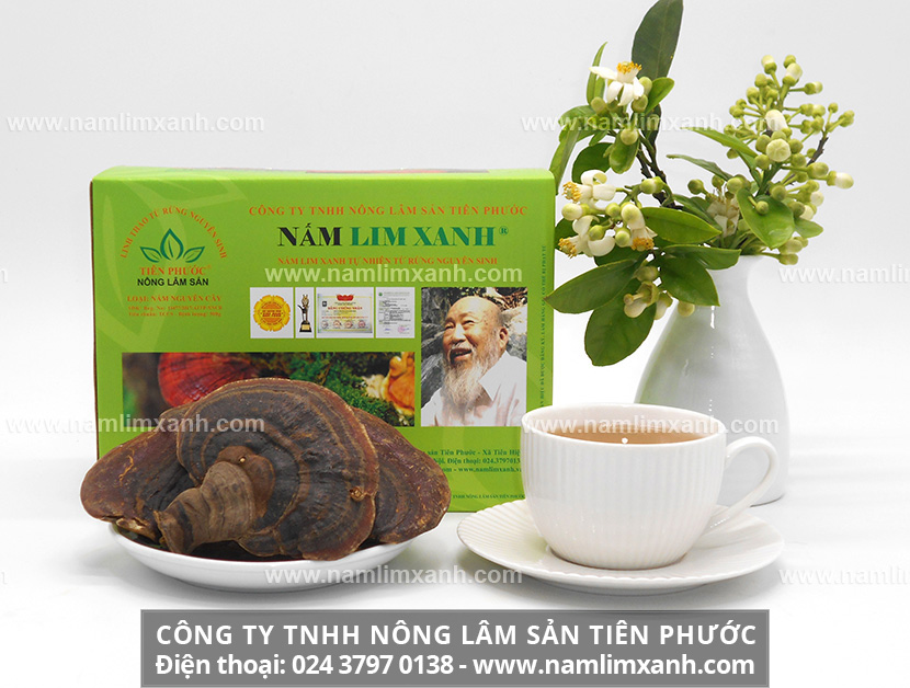 Cách dùng nấm lim xanh trị ung thư và sắc nấu nấm lim xanh đúng cách