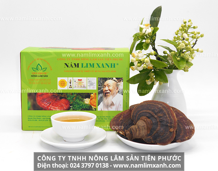 Cách ngâm rượu nấm lim xanh cùng các vị thuốc khác nhau