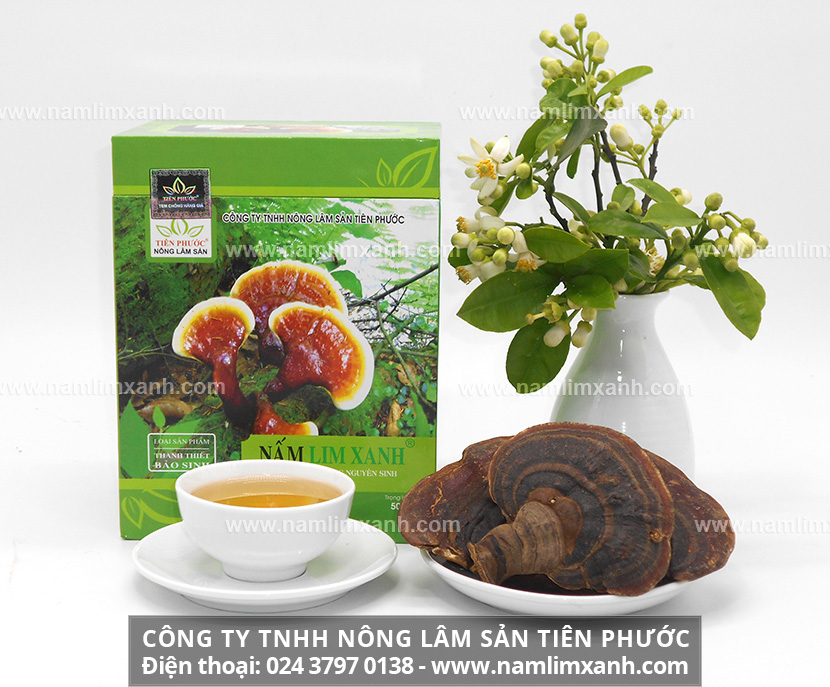 Cách ngâm rượu nấm lim xanh