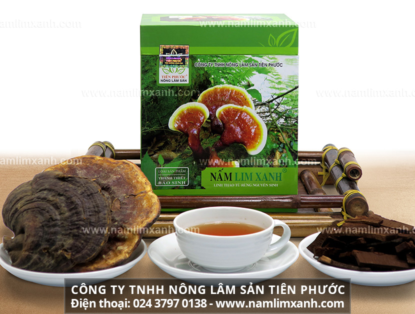 Cách pha chế nấm lim xanh khoa học nhất