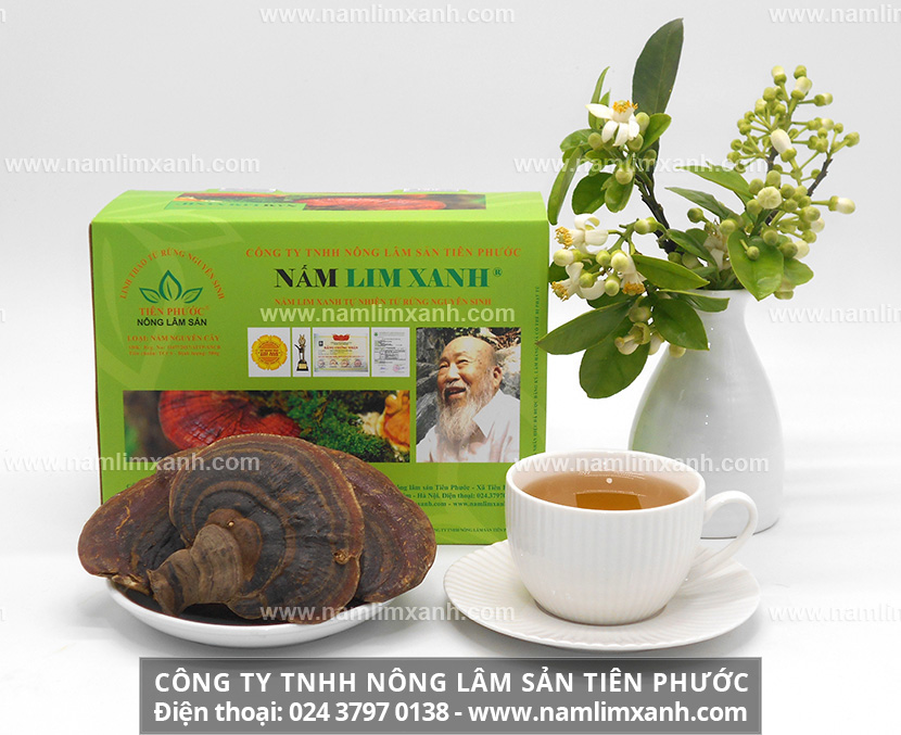 Cách phân biệt nấm lim xanh thật giả qua giá cả