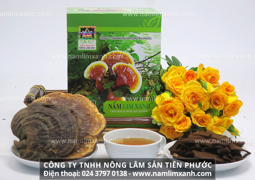 Cách sắc uống nấm lim xanh như thế nào uống nấm lim rừng có tác dụng tốt