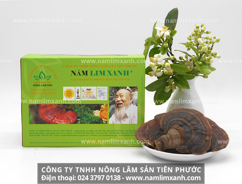 Cách sử dụng nấm lim xanh Tiên Phước cho bệnh nhân ung thư cổ tử cung và liều lượng khi dùng