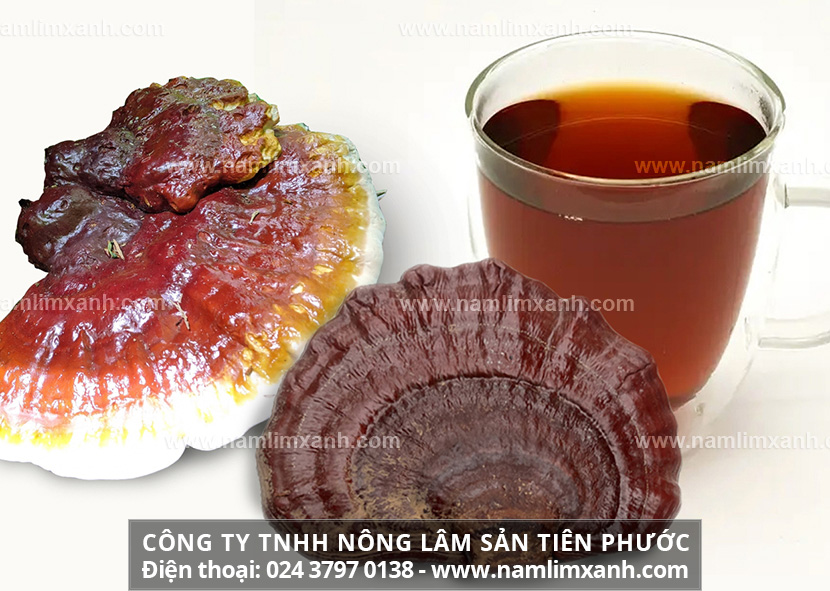 Cách sử dụng nấm lim xanh Tiên Phước chữa bệnh ung thư cổ tử cung