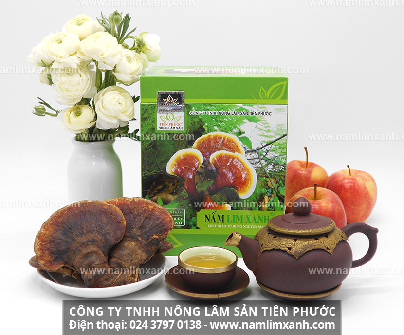 Cách sử dụng nấm lim xanh Tiên Phước và tác dụng của Sắc nước nấm lim xanh