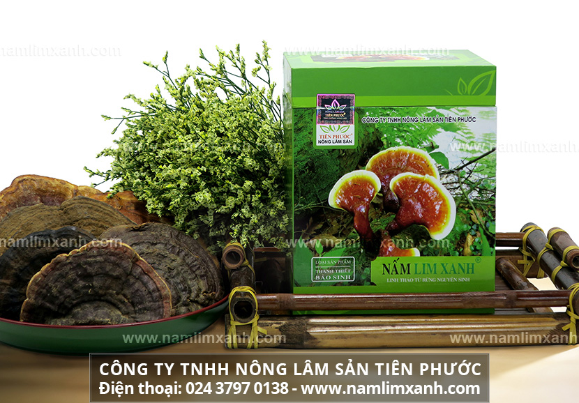 Cách sử dụng nấm lim xanh ngâm rượu và đối tượng nên dùng rượu nấm lim