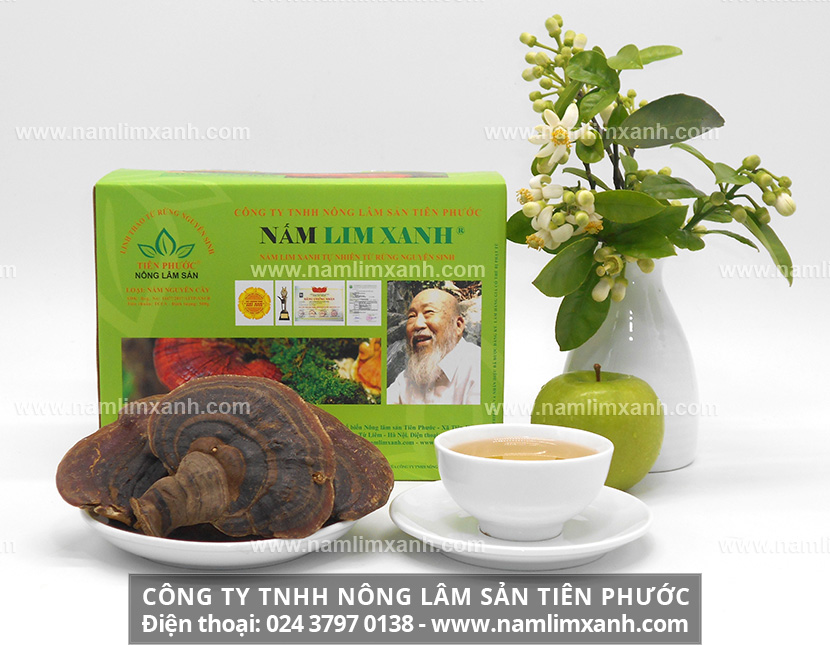 Cách sử dụng nấm lim xanh trị bệnh gan hiệu quả và hãm trà nấm cây lim