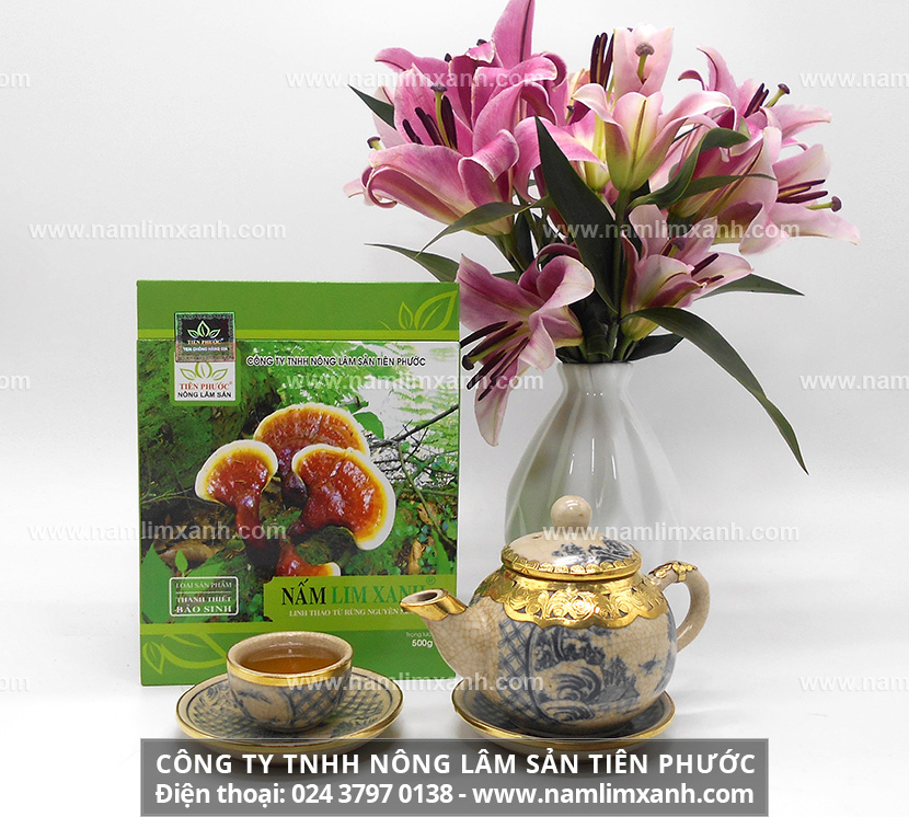 Cách sử dụng nấm lim xanh