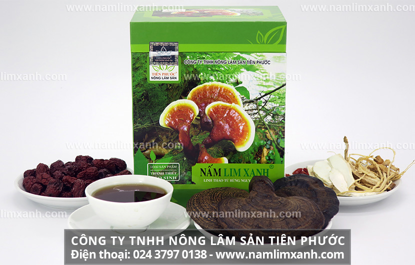 Cách uống nấm lim xanh chữa bệnh tốt nhất và liều lượng uống nấm lim