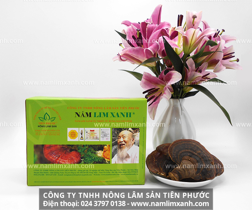 Cách uống nấm lim xanh và liệu lượng sử dụng