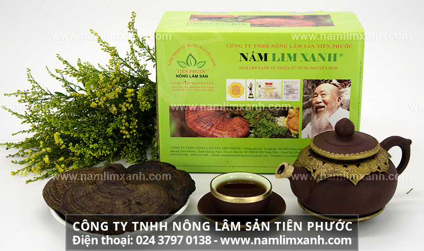 Công dụng của nấm lim xanh bồi bổ sức khỏe