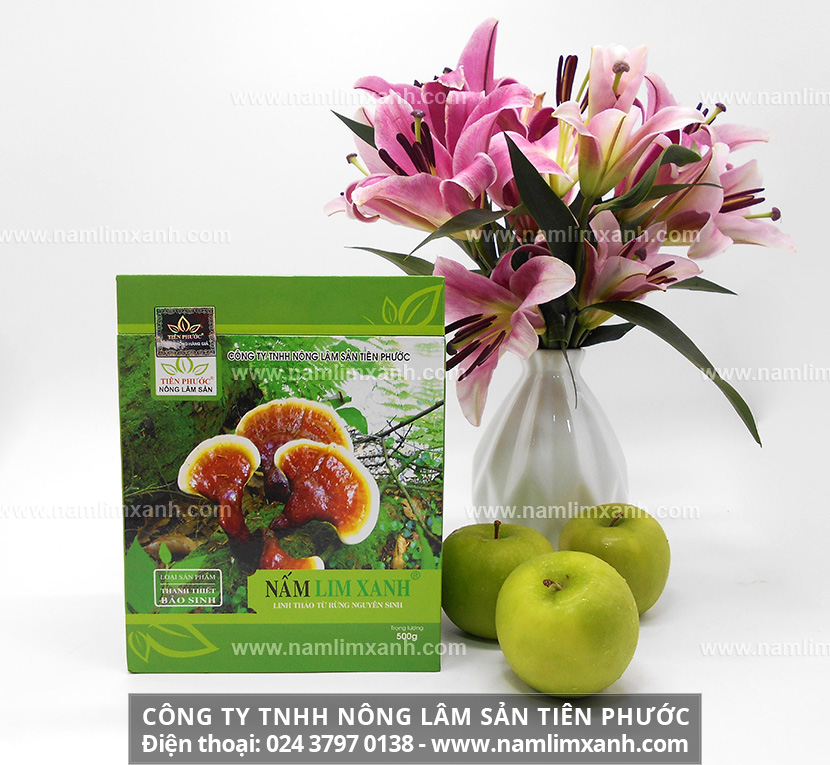 Công dụng của nấm lim xanh trong điều trị bệnh ung thư