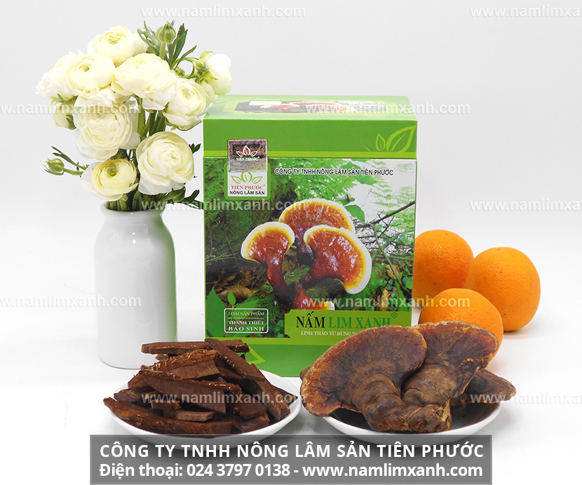 Công dụng nấm lim xanh chữa bệnh ung thư