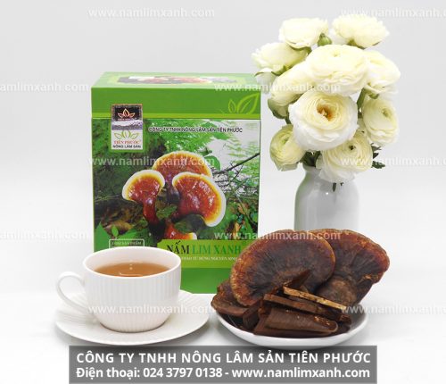 Công ty nấm lim xanh Tiên Phước mua bán nấm lim xanh và đạt nhiều giải thưởng thương hiệu nhãn hiệu nổi tiếng.